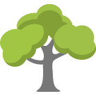Sandpoint Tree Removal Service