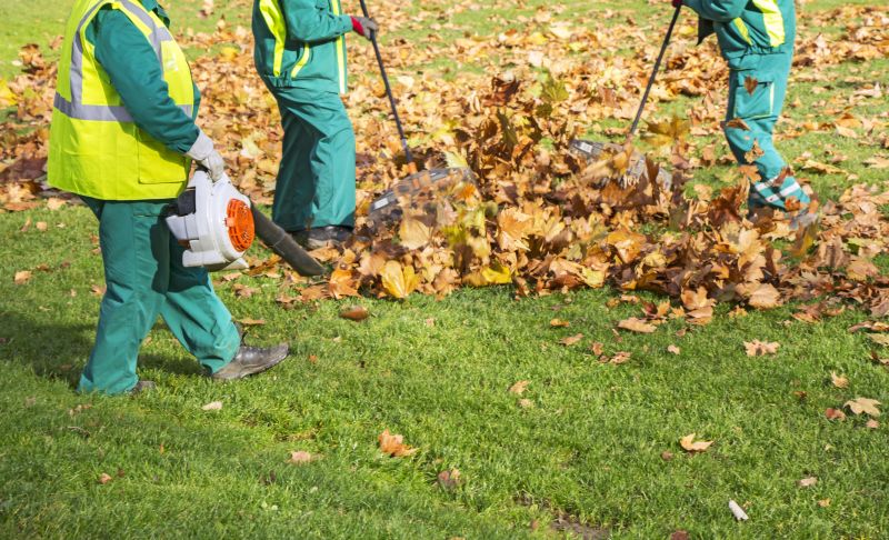 Disposing of Leaves