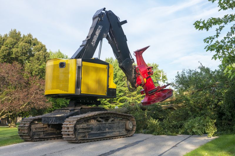 Tree Removal Vehicles