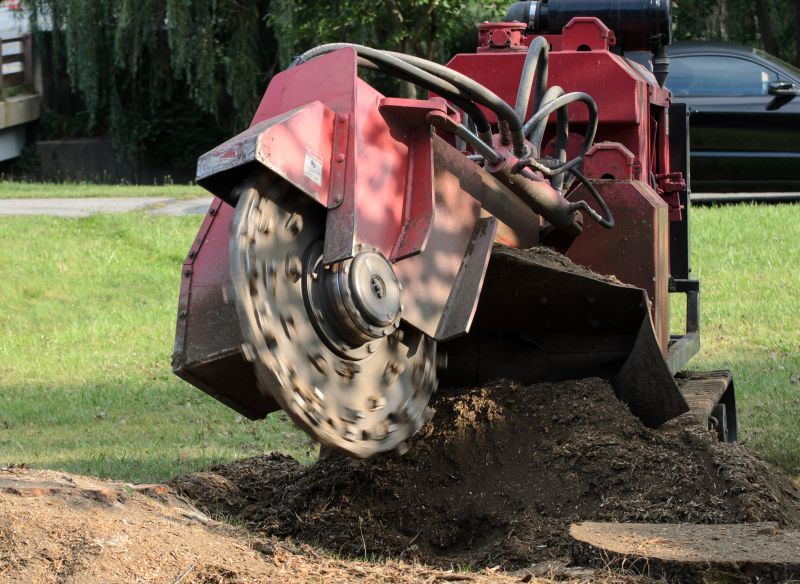 Tree Removal Equipment
