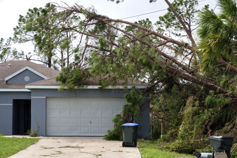 Hazardous Tree Removal