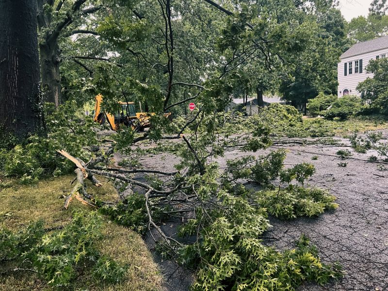 Site Cleanup and Disposal