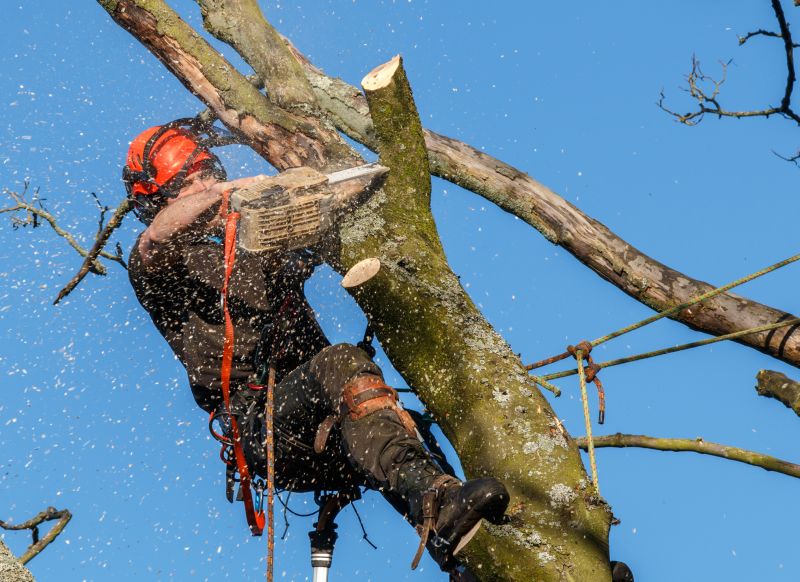 Equipment and Safety Gear